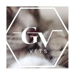 Golden Valley Vets - Wrington logo