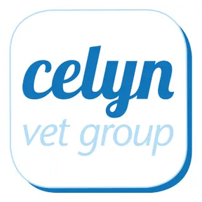 Celyn Vet Group - Holywell logo