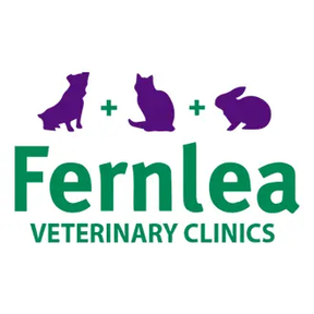 Fernlea Veterinary Clinic - Kingswood logo