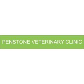 Penstone Veterinary Group - Burnham logo