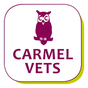 Carmel Vets - Fallings Park logo