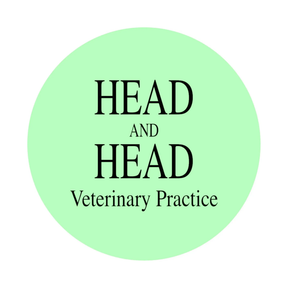 Head & Head logo