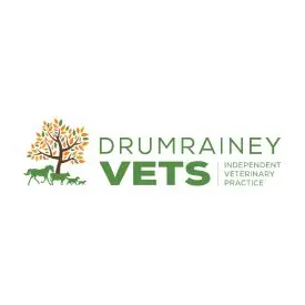 Drumrainey Veterinary Surgery logo