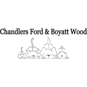 Chandlers Ford Vets - Boyatt Wood logo