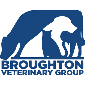 Broughton Veterinary Group - Broughton Astley logo