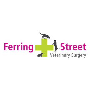 Ferring Street Veterinary Surgery (East Preston) logo