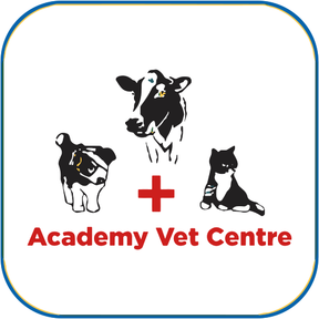 Academy Vets - Newton Stewart logo