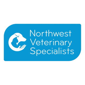 NW Specialists logo