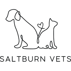 Saltburn Vets logo