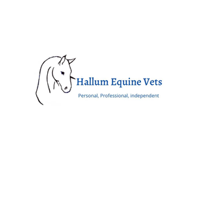 Hallum Equine Vets logo