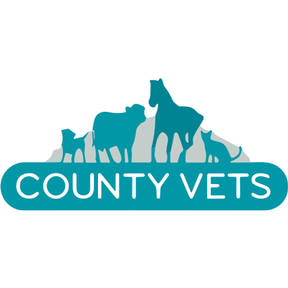County Vets - Maybole logo