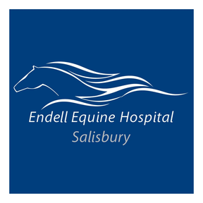 Endell Equine Hospital logo