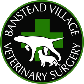 Banstead Village Vets logo