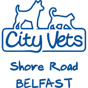 City Vets - Ravenhill logo