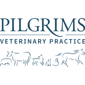 Pilgrims Vets - Cranborne logo