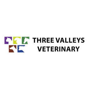 Three Valleys Vet - Fivemiletown logo