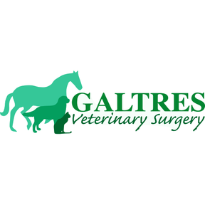 Galtres Veterinary Surgery logo