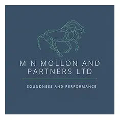M N Mollon & Partners logo