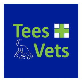 Tees Vets logo