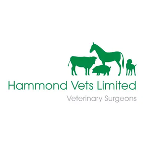 Hammond Vets Limited logo