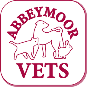 Abbey Moor Vets - Halifax Road logo