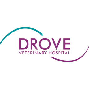 Drove Vets - Veterinary Hospital Wroughton logo