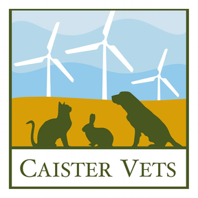Westover Veterinary Centre - Caister Vets logo