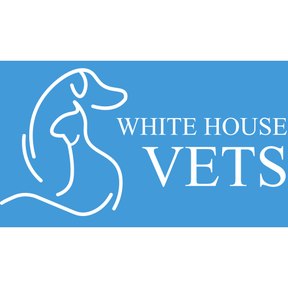 White House Vets logo