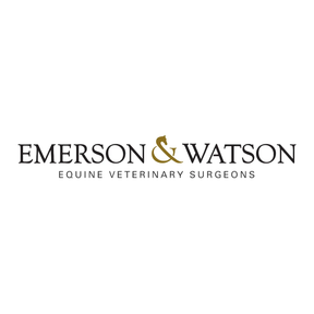 Emerson and Watson logo