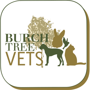 Burch Tree Vets - Morecambe logo