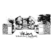 Viking Vets logo