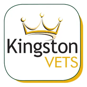 Kingston Vets - Cottingham logo