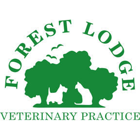 Forest Lodge Vets - Lymington logo