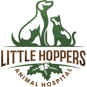 Little Hoppers Vets - Crowborough logo