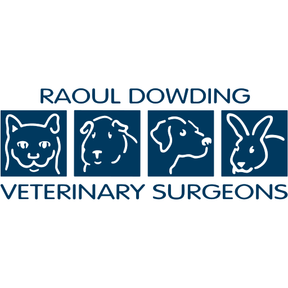 Dowding Vets - Bawtry logo