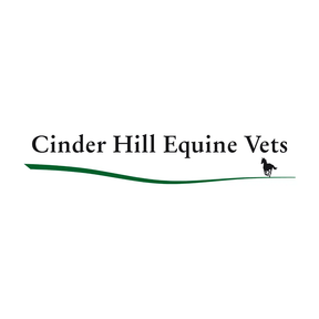 Cinder Hill Equine Vets logo