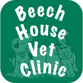 Beech House Vet Brighton logo