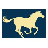 Equine Acupuncture logo