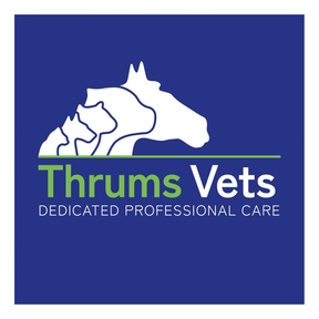 Thrums Veterinary Group - Blairgowrie logo
