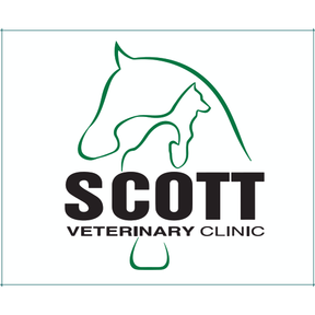 Scott Veterinary Clinic - Bedford logo