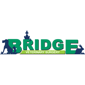 Bridge Veterinary Surgery logo