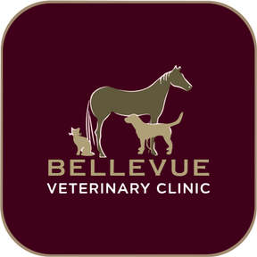 Bellevue Veterinary Clinic logo