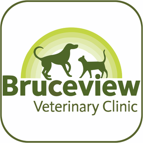 Bruceview Vet Clinic logo