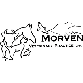 Morven Veterinary Practice - Alford logo