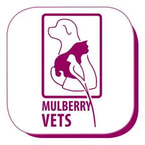 Mulberry Vets logo