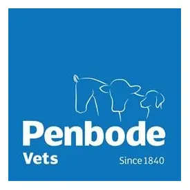 Penbode Vets - Holsworthy logo