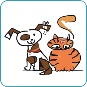 Broomhill Veterinary Practice logo