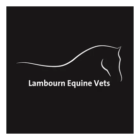 Lambourn Equine Vets logo