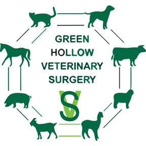 Green Hollow Veterinary Surgery - Ruyton X1 Towns logo