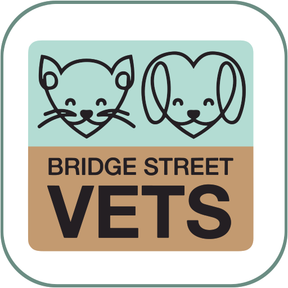 Bridge Street Veterinary Practice, Driffield logo